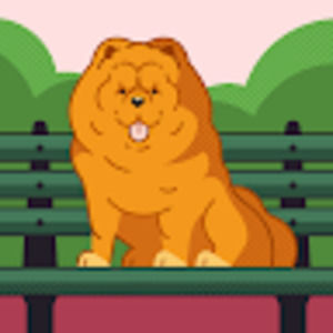 Meet your Posher, Dorothy